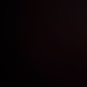 Butterfly dangling earrings